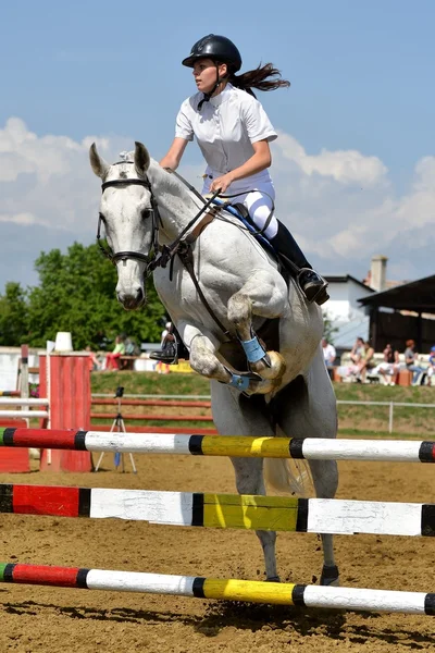 Horse jumping show — Stock Photo, Image