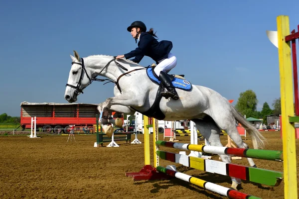 Salto a cavallo spettacolo — Foto Stock