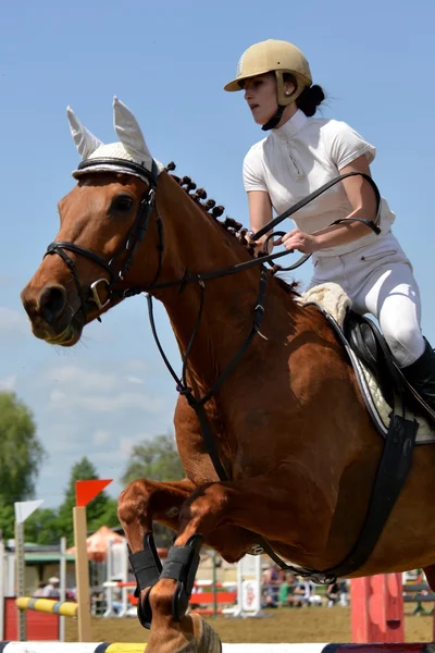 Spectacle de saut à cheval — Photo