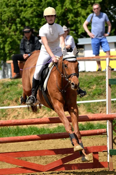 Espectáculo de salto de caballo — Foto de Stock