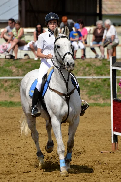 Espectáculo de salto de caballo —  Fotos de Stock