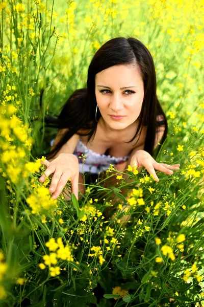 在一片黄花地里的女孩 — 图库照片