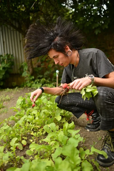 Punk boy en el jardín —  Fotos de Stock