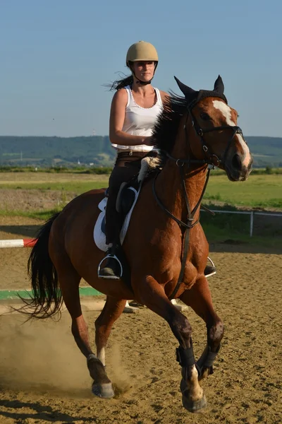 Espectáculo de salto de caballo — Foto de Stock