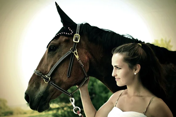 Piękna kobieta i koń — Zdjęcie stockowe