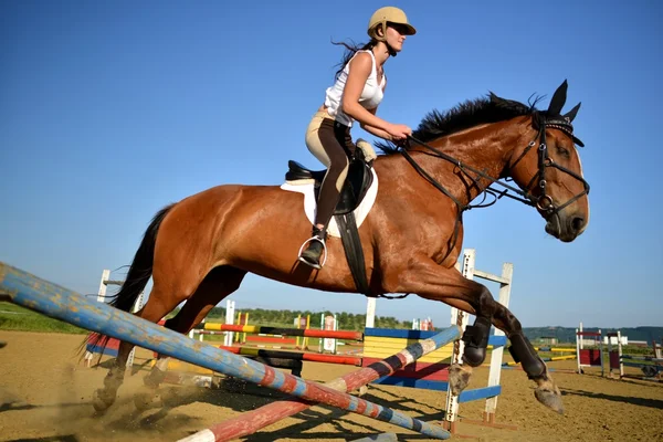 Horse jumping show — Stock Photo, Image