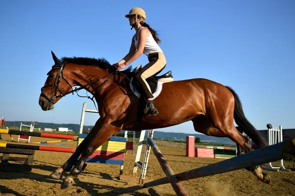 Salto de cavalo show — Fotografia de Stock