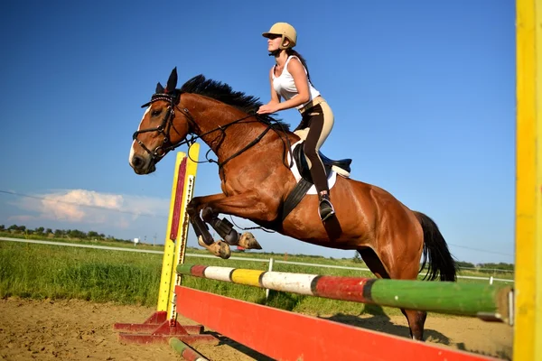 Salto a cavallo spettacolo — Foto Stock