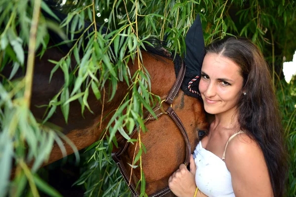 Schöne Frau und Pferd — Stockfoto