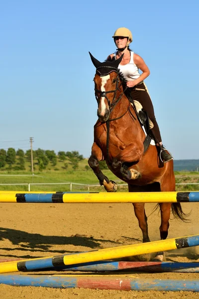 Spectacle de saut à cheval — Photo
