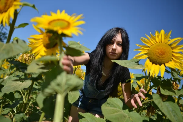 Donna in campo girasole - concetto di vita rurale e aromaterapia — Foto Stock