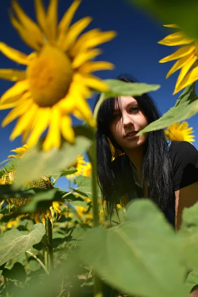 Vrouw in zonnebloem veld - landelijke leven en aromatherapie concept — Stockfoto