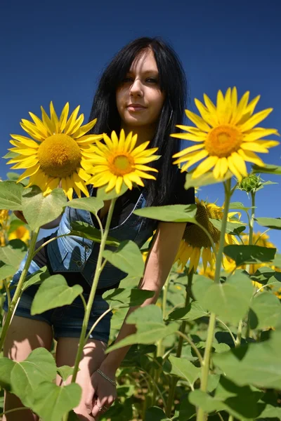 Vrouw in zonnebloem veld - landelijke leven en aromatherapie concept — Stockfoto