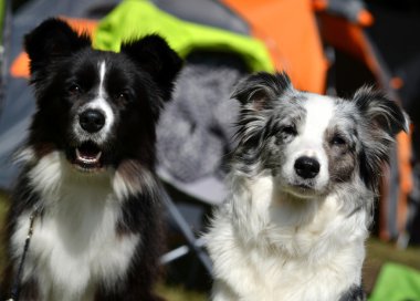 kenar kömür ocağı