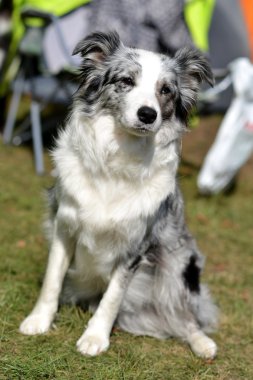 kenar kömür ocağı