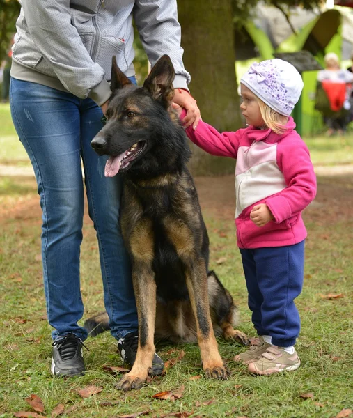 Küçük kız ve Alman çoban köpeği — Stok fotoğraf