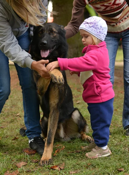 어린 소녀와 독일 셰퍼드 개 — 스톡 사진