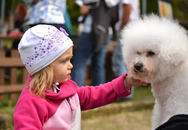 Children girl kissing her puppy — Stock Photo, Image