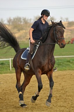 at atlama Yarışması