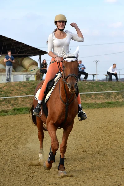 Cavalo na competição de salto — Fotografia de Stock