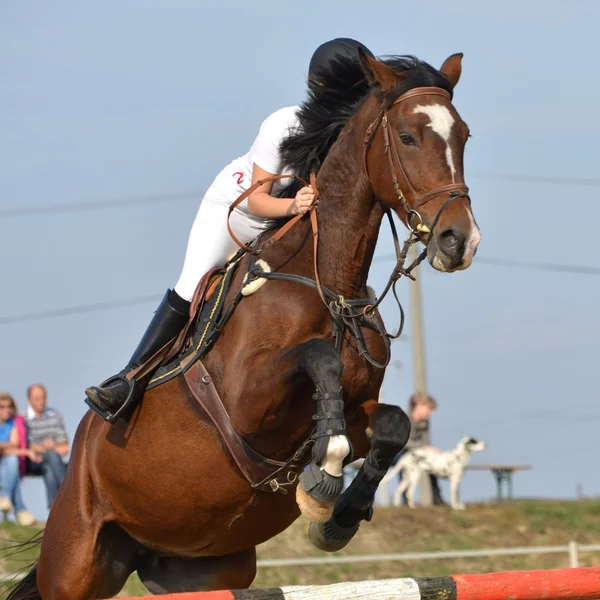 At atlama Yarışması — Stok fotoğraf
