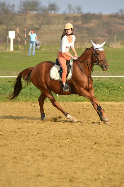 Cavallo alla competizione di salto — Foto Stock