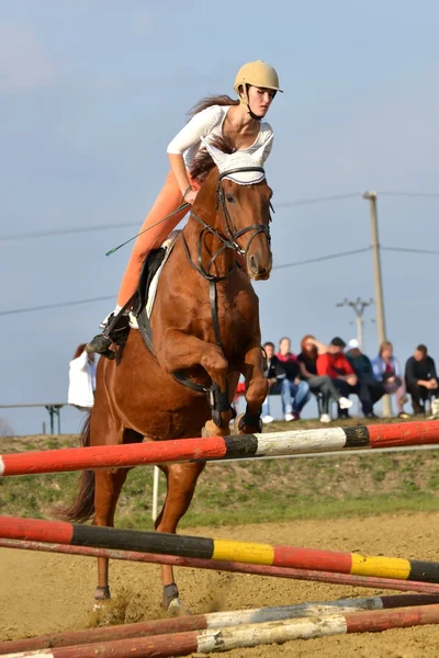 Horse at jumping competition — Stock Photo, Image