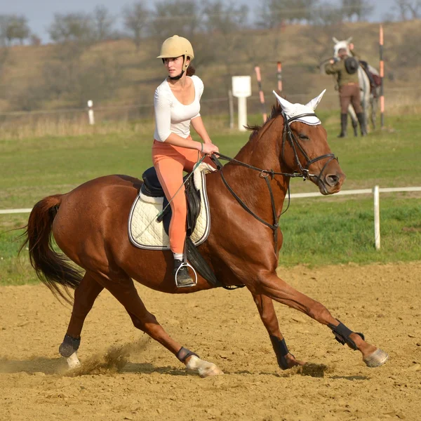 Paard op springconcours — Stockfoto