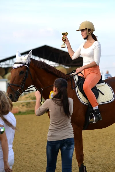Pferd beim Springwettbewerb — Stockfoto