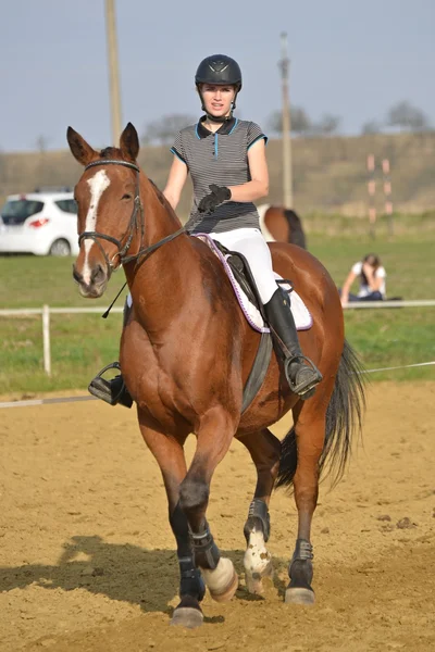 Caballo en competición de salto — Foto de Stock