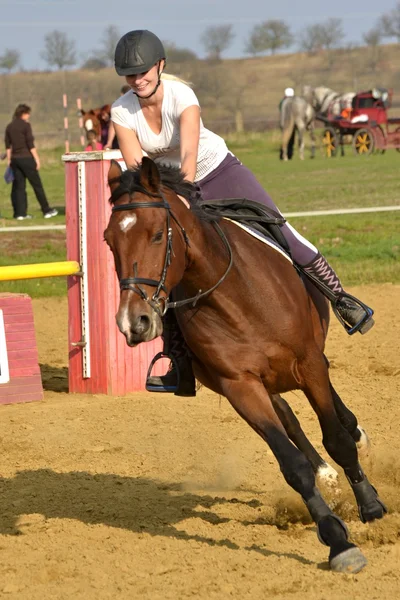 Caballo en competición de salto — Foto de Stock