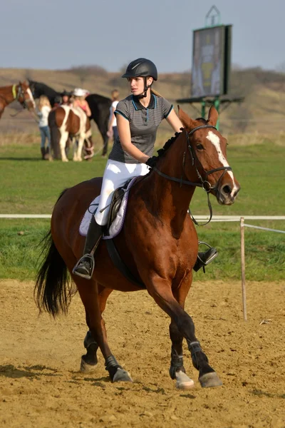 Häst på hoppning konkurrens — Stockfoto