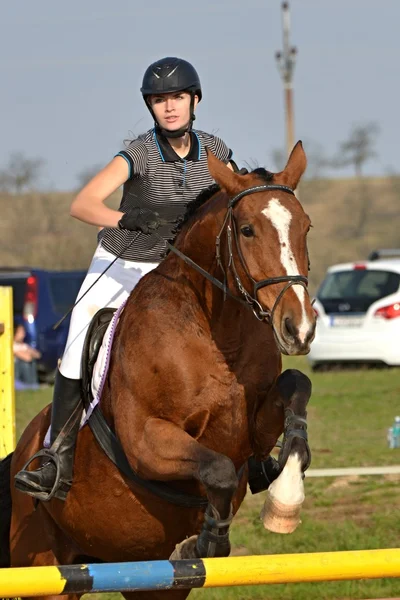 Hest på hoppe konkurrence - Stock-foto