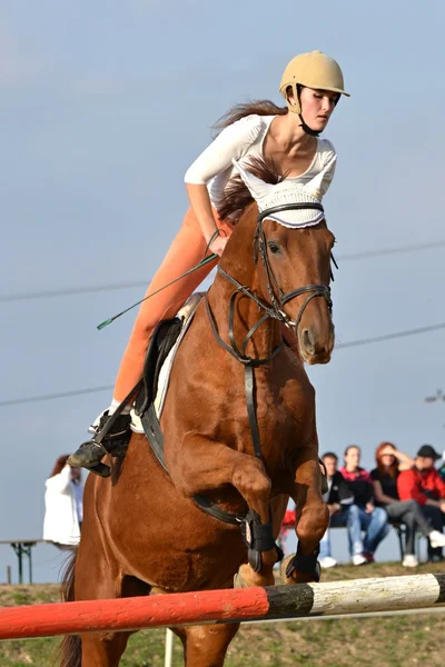 Cavallo alla competizione di salto — Foto Stock