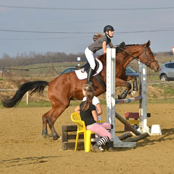 Caballo en competición de salto —  Fotos de Stock