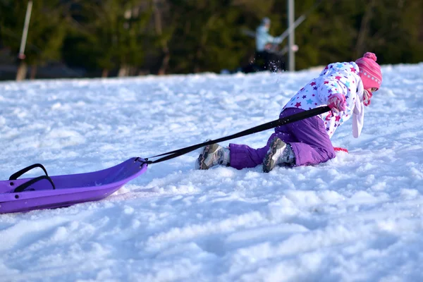 Sledding, diversão de inverno, neve, trenó de família — Fotografia de Stock