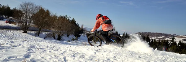 Mountain Biker — Stok fotoğraf