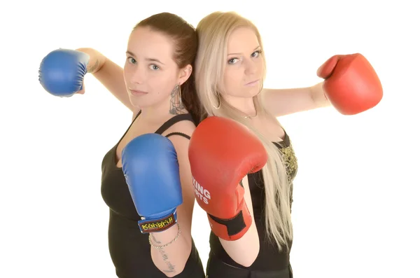 Boxe meninas — Fotografia de Stock