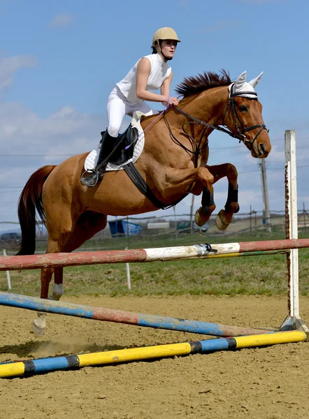 Horse show jumping — Stock Photo, Image