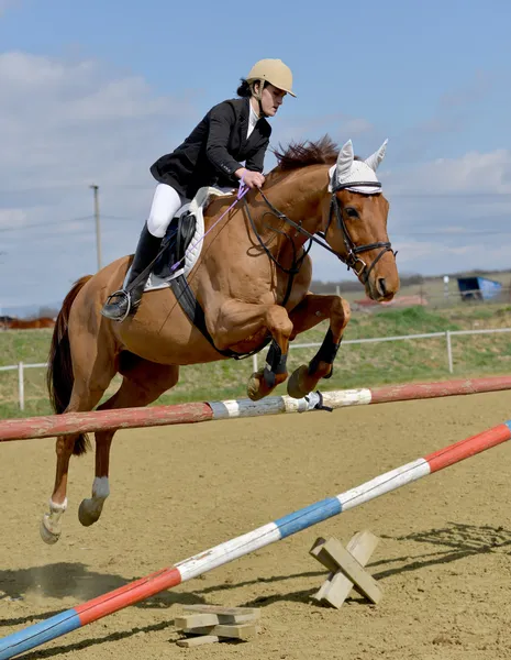 Horse show jumping — Stock Photo, Image