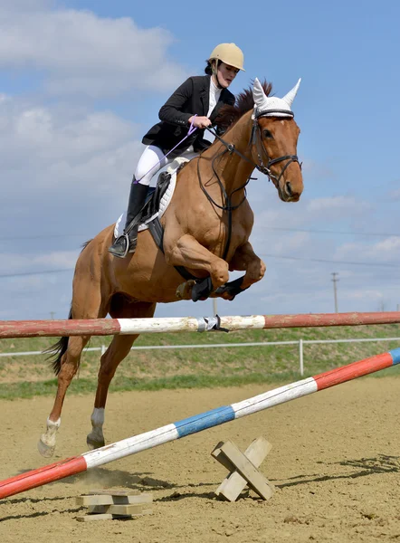 Horse show jumping — Stock Photo, Image