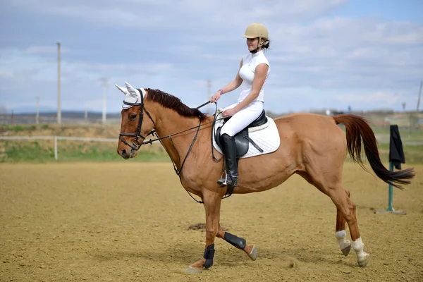 Häst på hoppning konkurrens — Stockfoto