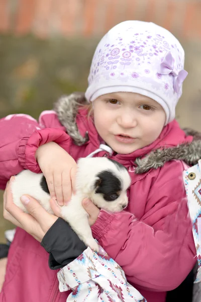 Baby hält Welpen Jack Russel — Stockfoto