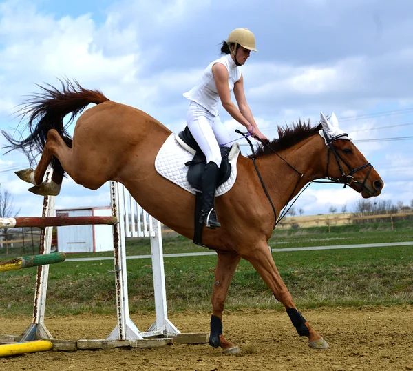 Woman at jumping show — Stock Photo, Image