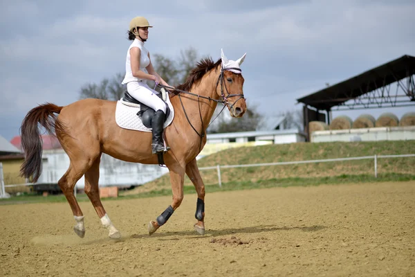 Jeździec kobieta na pokaz koni — Zdjęcie stockowe