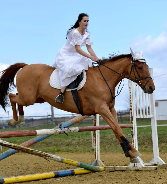 말을 타고 신부 — 스톡 사진