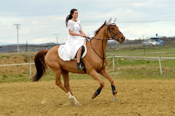 Невеста на коне — стоковое фото