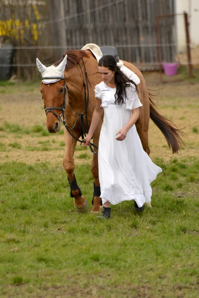 Bride and horse — Stock Photo, Image