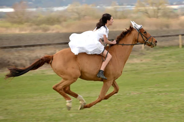 말을 타고 신부 — 스톡 사진