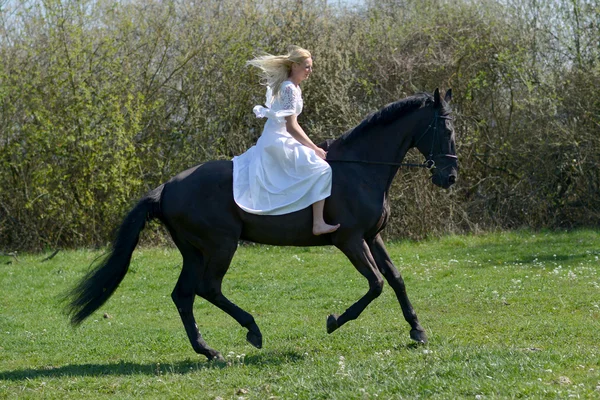 Braut reitet ein Pferd. — Stockfoto